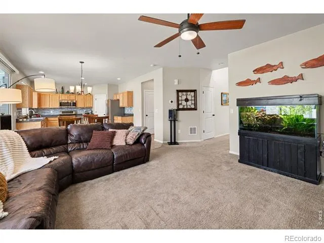 1542 Woodcock Street Berthoud, CO 80513