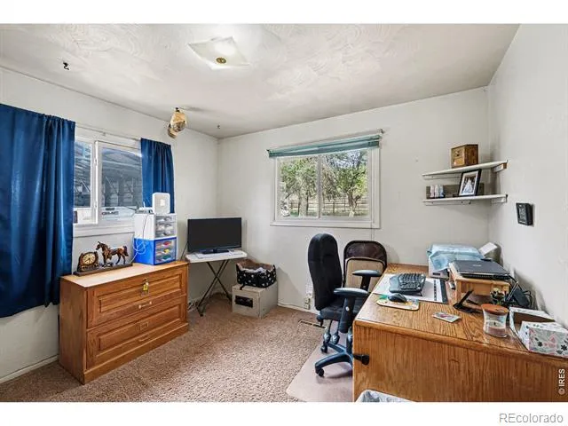 6109 US Highway 287 Laporte, CO 80535