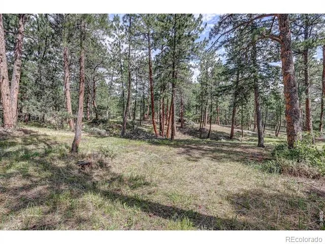 166 Cherokee Road Lyons, CO 80540