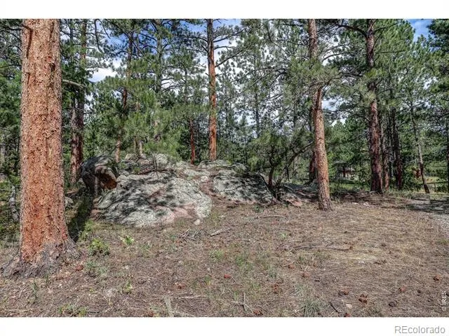166 Cherokee Road Lyons, CO 80540