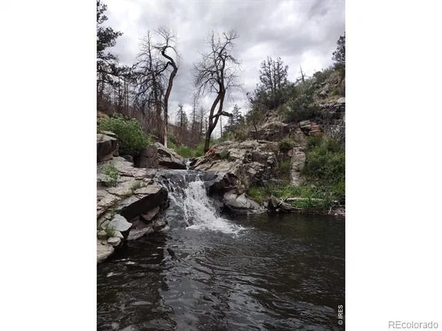 439 Redtail Ridge Way Bellvue, CO 80512