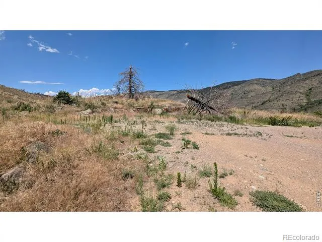 439 Redtail Ridge Way Bellvue, CO 80512