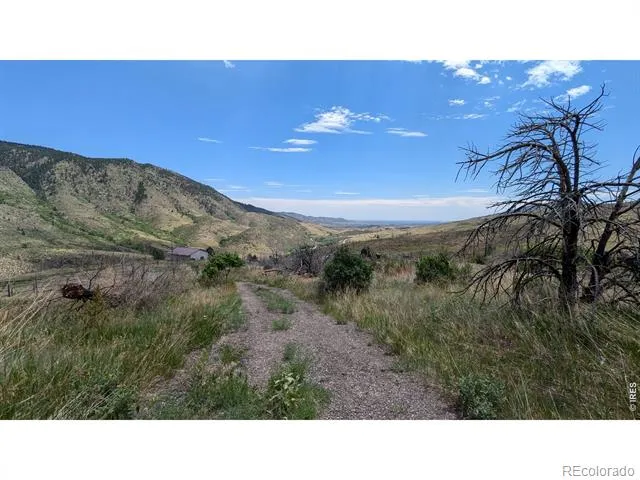 439 Redtail Ridge Way Bellvue, CO 80512