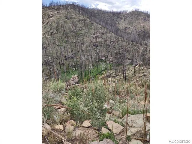 439 Redtail Ridge Way Bellvue, CO 80512