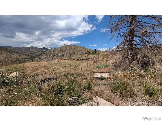 439 Redtail Ridge Way Bellvue, CO 80512