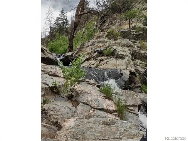 439 Redtail Ridge Way Bellvue, CO 80512
