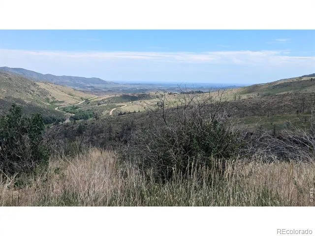 439 Redtail Ridge Way Bellvue, CO 80512