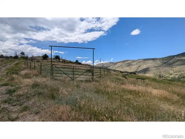 439 Redtail Ridge Way Bellvue, CO 80512