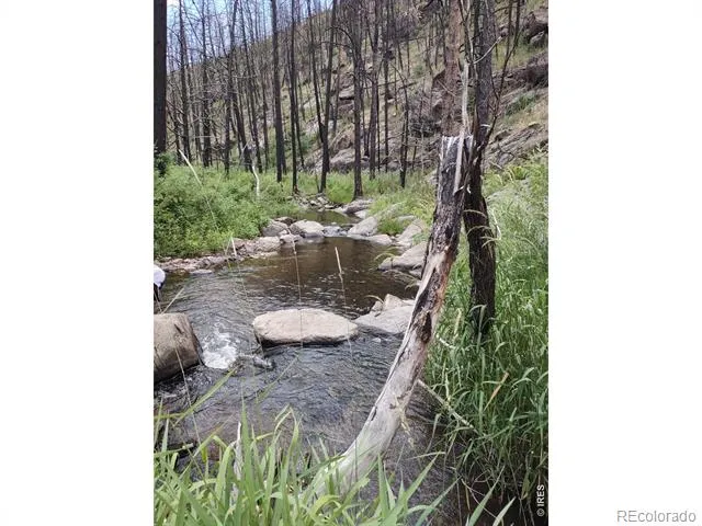 439 Redtail Ridge Way Bellvue, CO 80512