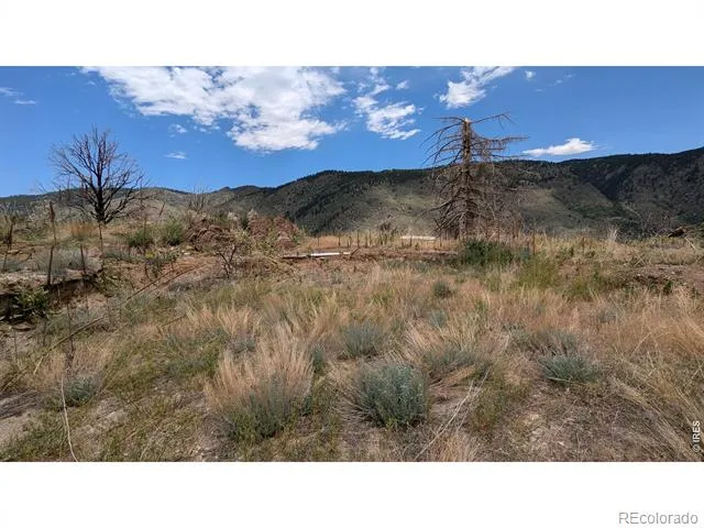 439 Redtail Ridge Way Bellvue, CO 80512