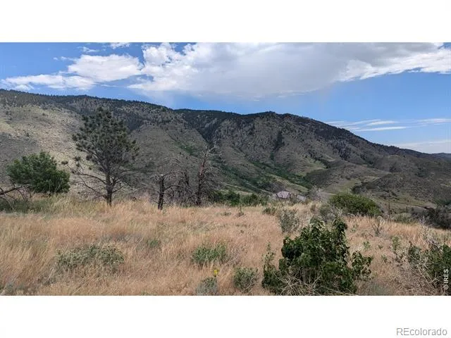 439 Redtail Ridge Way Bellvue, CO 80512