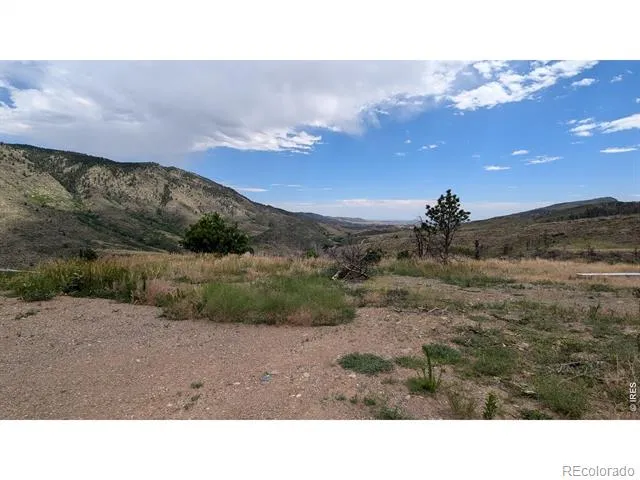 439 Redtail Ridge Way Bellvue, CO 80512