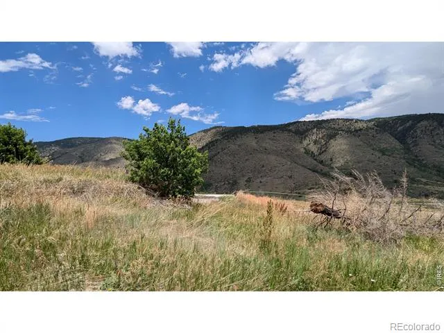 439 Redtail Ridge Way Bellvue, CO 80512