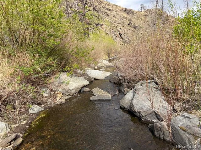 439 Redtail Ridge Way Bellvue, CO 80512