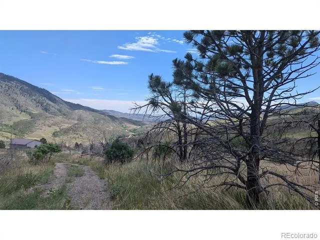 439 Redtail Ridge Way Bellvue, CO 80512