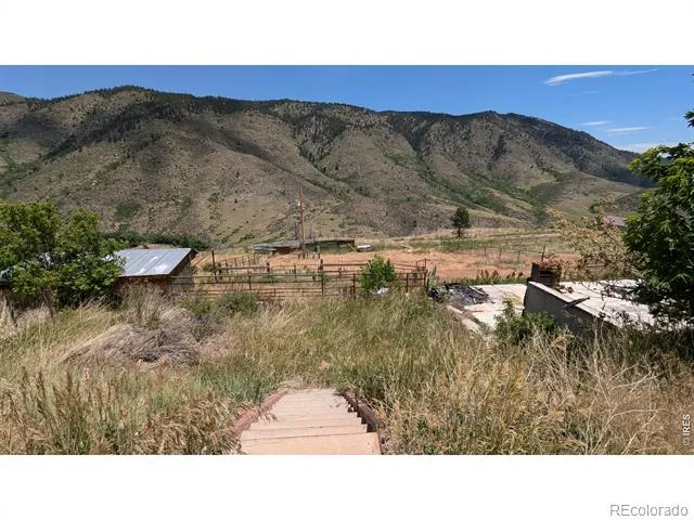 439 Redtail Ridge Way Bellvue, CO 80512
