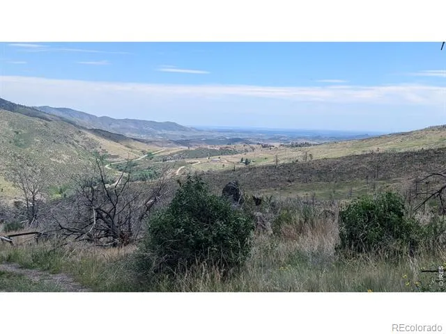 439 Redtail Ridge Way Bellvue, CO 80512