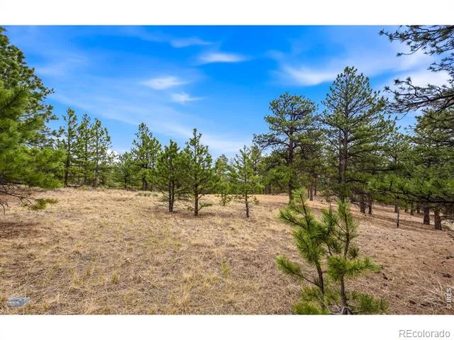 4394 Sunshine Canyon Drive Boulder, CO 80302