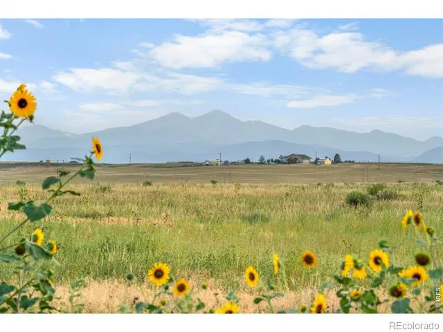 1 CR 19 Fort Collins, CO 80524