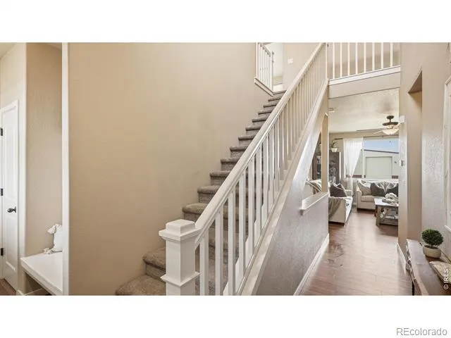 40690 Leif Lane Ault, CO 80610