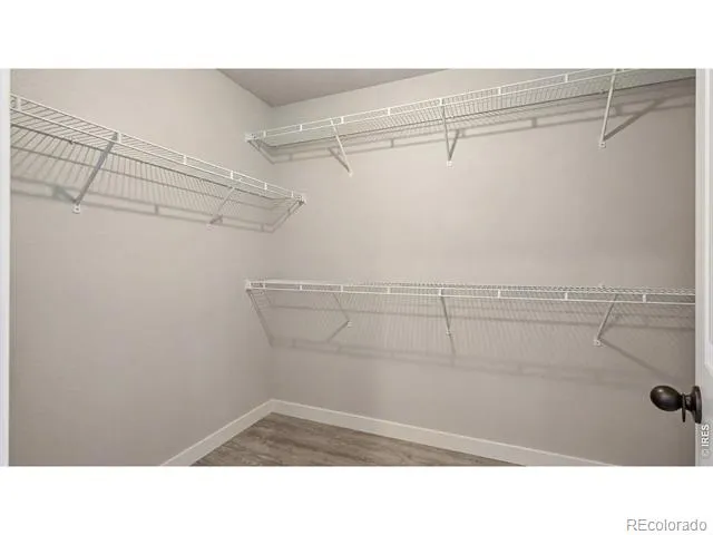 40690 Leif Lane Ault, CO 80610