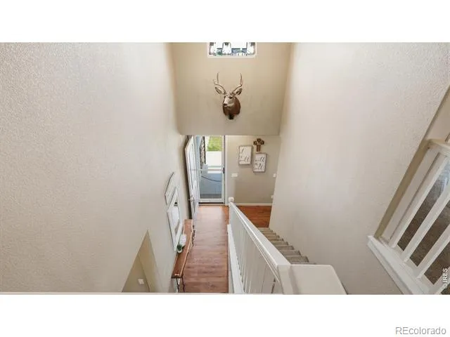 40690 Leif Lane Ault, CO 80610