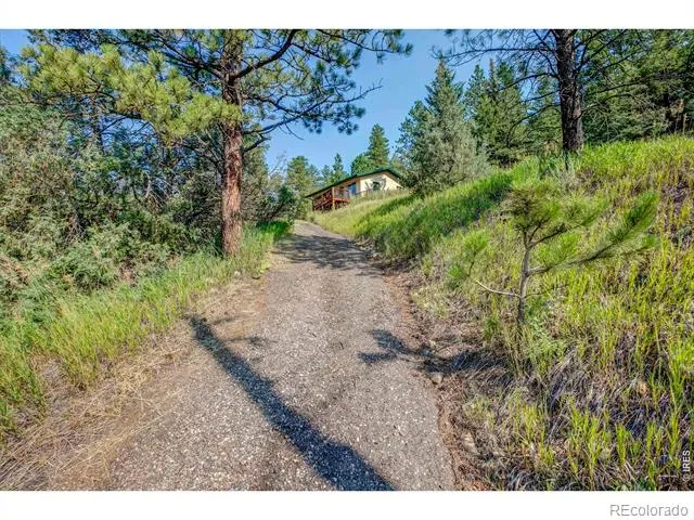 1142 Streamside Drive Glen Haven, CO 80532