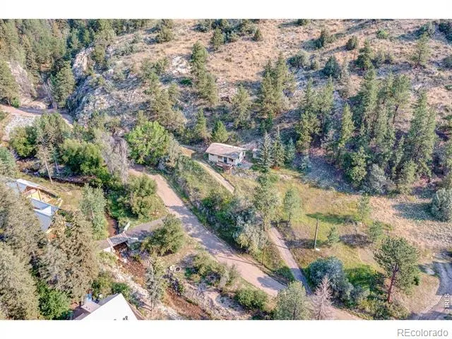 1142 Streamside Drive Glen Haven, CO 80532