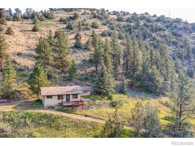 1142 Streamside Drive Glen Haven, CO 80532