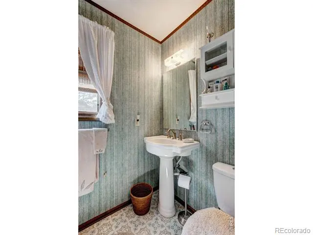 1142 Streamside Drive Glen Haven, CO 80532