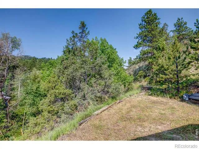 1142 Streamside Drive Glen Haven, CO 80532