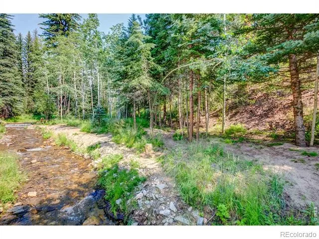 1142 Streamside Drive Glen Haven, CO 80532