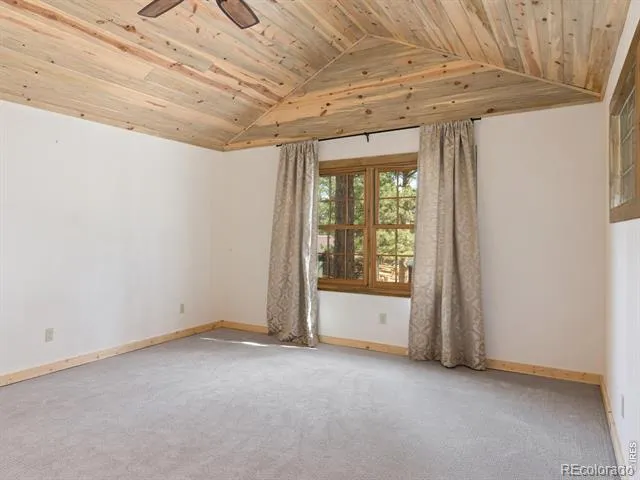 1101 Lexington Lane Estes Park, CO 80517