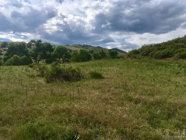 306 River Way Lyons, CO 80540