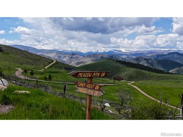 181 Meadow Mountain Drive Livermore, CO 80536