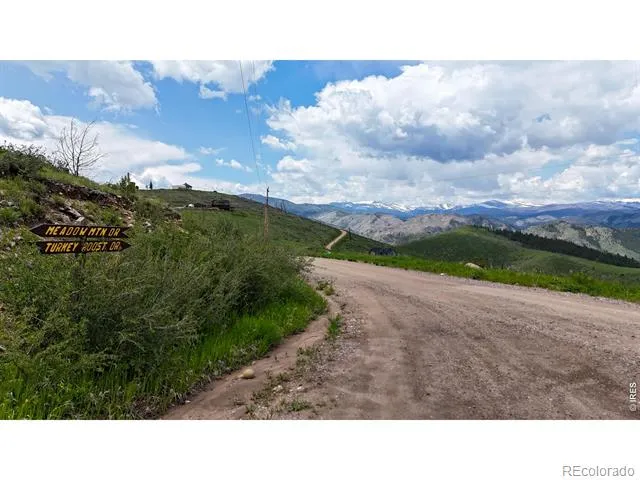 181 Meadow Mountain Drive Livermore, CO 80536