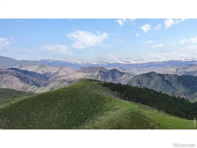 181 Meadow Mountain Drive Livermore, CO 80536