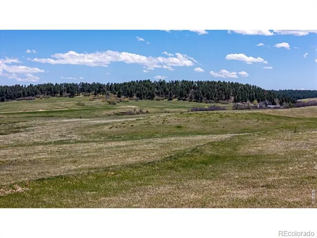 0 S Highway 83 Highway Franktown, CO 80116