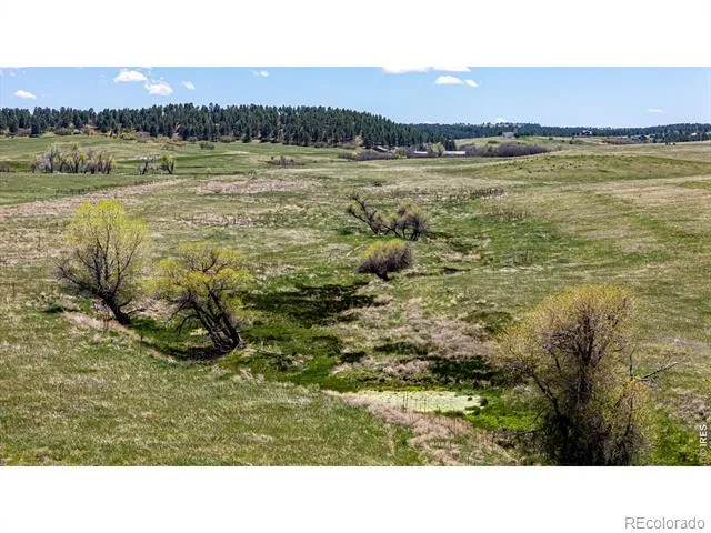 0 S Highway 83 Highway Franktown, CO 80116