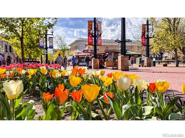 2125 11th Street Boulder, CO 80302