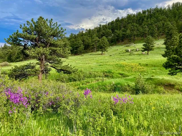 95 Rowell Drive Lyons, CO 80540