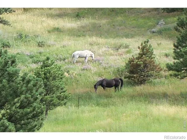 95 Rowell Drive Lyons, CO 80540
