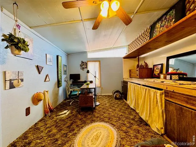 417 Grant Street Walden, CO 80480