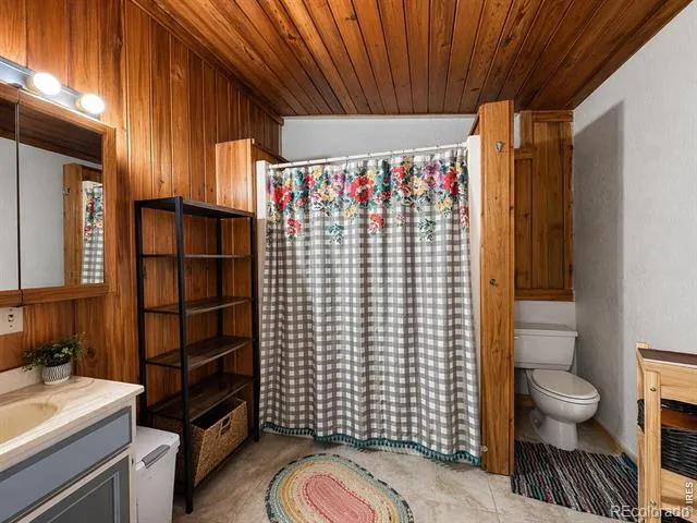 417 Grant Street Walden, CO 80480