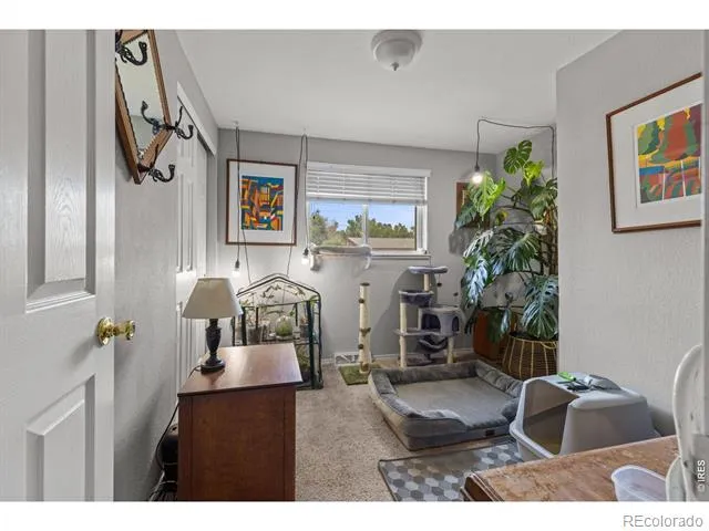 4653 Dover Street Wheat Ridge, CO 80033
