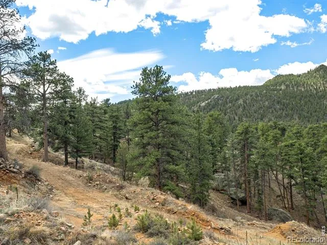 825 Castle Mountain Road Estes Park, CO 80517