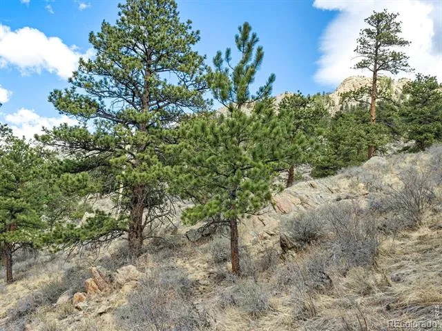 825 Castle Mountain Road Estes Park, CO 80517