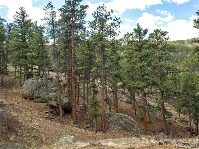 825 Castle Mountain Road Estes Park, CO 80517