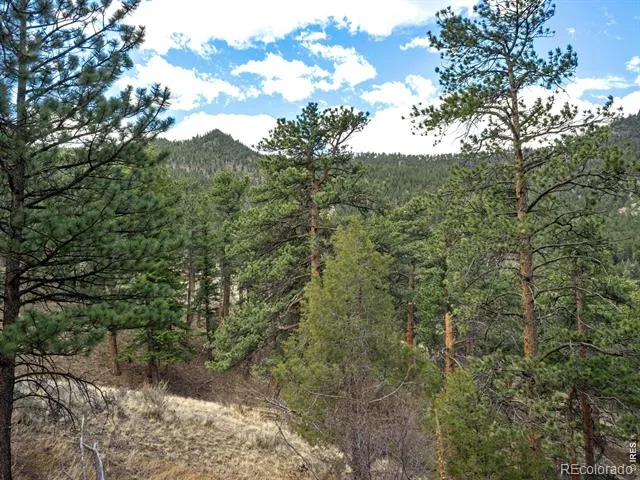 825 Castle Mountain Road Estes Park, CO 80517