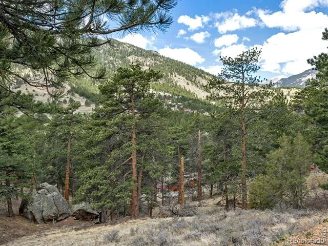 825 Castle Mountain Road Estes Park, CO 80517
